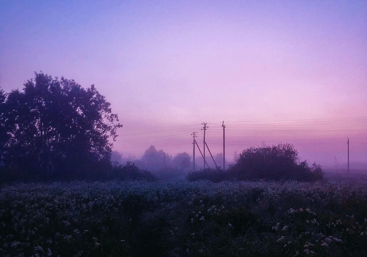 开云：云端之门，企业未来的加速器